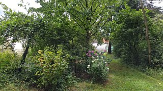 Garten von Mareike Hübner aus Löhne