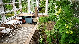 Wettberwerb Schönster Garten in OWL - Zu Besuch bei Jana Hermanns