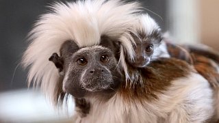 Die schönsten Fotos aus dem Tierpark Waldfrieden