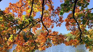 Herbstliches Bünde