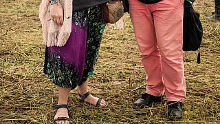 Steinheim: Reggae im Hanffeld