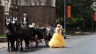 Lauenförde: Schützenfest