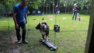 Viele Besucher beim Herbstfest zum 50. Jubiläum des Tierheimes
