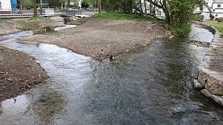 Paderborn: Impressionen aus dem mittleren Paderquellgebiet