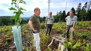 Überlebenskampf des Stadtwaldes im Teuto