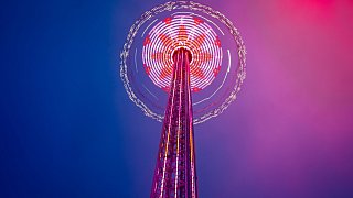 Pollhans-Markt ist gestartet