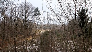 Vor zehn Jahren: Als Kyrill in Gütersloh stürmte - und wie es heute aussieht