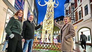 Lichtinstallationen zu Weihnachten in der Bielefelder City