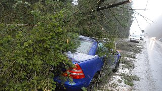 Oerlinghausen: Sturmschäden nach Orkan Friederike