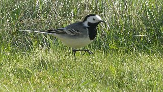 Kreis Höxter: NW-Fotoaktion Frühlingsanfang im Garten