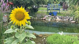 Der Garten von Lore und Dieter Halstenberg in Bad Oeynhausen