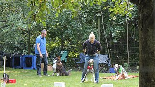 Viele Besucher beim Herbstfest zum 50. Jubiläum des Tierheimes