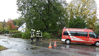 Sturm entwurzelt Bäume im Kreis Gütersloh