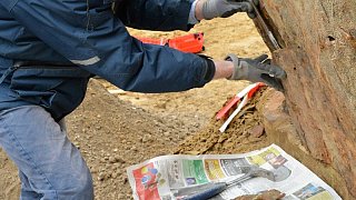 Fossiler Fund unterhalb der ehemaligen Jugendherberge