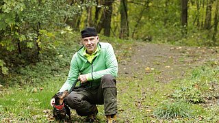 Herford: Im Hombergwald treibt ein schädlicher Pilz sein Unwesen