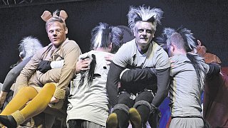 Lichtenau: Männerballett-Wettbewerb in Atteln