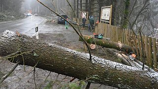 Oerlinghausen: Sturmschäden nach Orkan Friederike