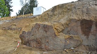 Fossiler Fund unterhalb der ehemaligen Jugendherberge
