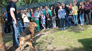 Viele Besucher beim Herbstfest zum 50. Jubiläum des Tierheimes