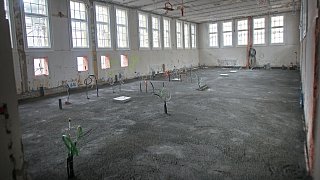 Zwei Jahre Umbau: Einblicke in den Arbeitsalltag an der Markthalle