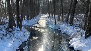 Bünde: Die schönsten Winterfotos aus dem Bünder Land
