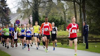 48. Harsewinkeler Volkslauf