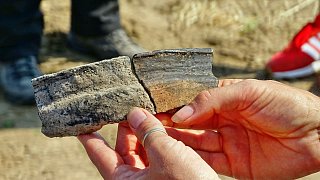 Lübbecke: Archäologen entdecken historische Hofstelle