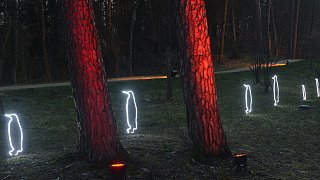 Bad Lippspringe: Waldleuchten auf dem Gartenschaugelände