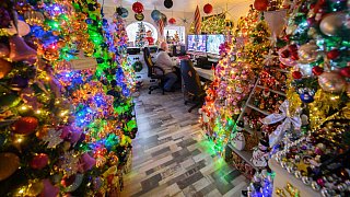Neuer Rekord: 600 Weihnachtsbäume in einem Haus in Rinteln