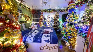 Neuer Rekord: 600 Weihnachtsbäume in einem Haus in Rinteln