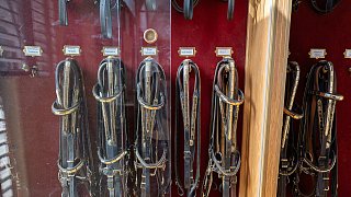 Paderbornerin macht Karriere an der Spanischen Hofreitschule in Wien