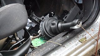 Zwei junge Männer sterben bei schweren Unfall in Greffen