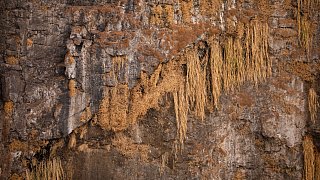 Victoriafälle sind nur noch ein Rinnsal