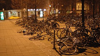 Vor zehn Jahren: Als Kyrill in Gütersloh stürmte - und wie es heute aussieht