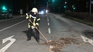 Orkantief 