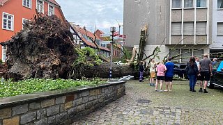 Tornados, Regen - Dutzende Verletzte und Millionenschäden