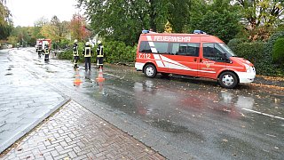 Sturm entwurzelt Bäume im Kreis Gütersloh
