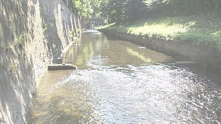 Herford: Brücken in Herford, ein Spaziergang in Bildern