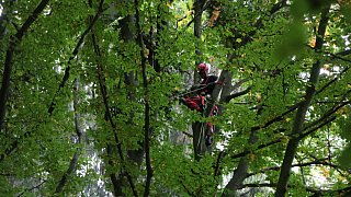 Rettungseinsatz abgestürztes Segelflugzeug in Porta