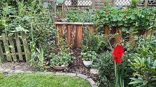Der Garten von Lore und Dieter Halstenberg in Bad Oeynhausen