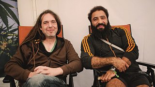 Steinheim: Reggae im Hanffeld