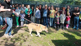 Viele Besucher beim Herbstfest zum 50. Jubiläum des Tierheimes