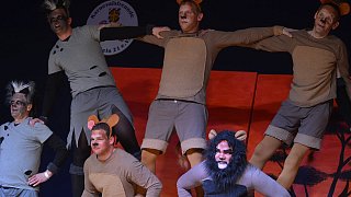 Lichtenau: Männerballett-Wettbewerb in Atteln