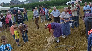 Borchen: Demonstration historischer Kornernte und Landtechnik