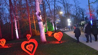 Bad Lippspringe: Waldleuchten auf dem Gartenschaugelände
