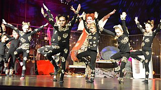 TSV-Jazztanz, Musical Dancing Cats