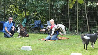 Viele Besucher beim Herbstfest zum 50. Jubiläum des Tierheimes