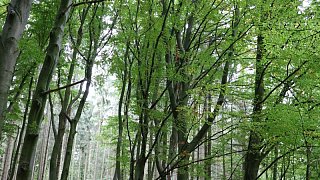 Rettungseinsatz abgestürztes Segelflugzeug in Porta