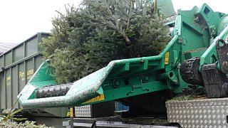 Aktion Nadelnder Tannenbaum des CVJM-Kreisverband Bünde