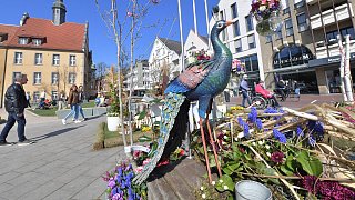 Das war der 